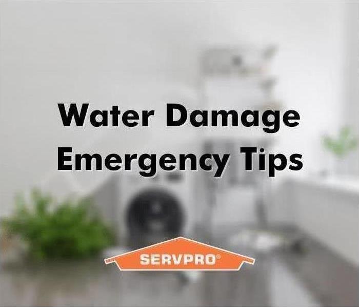 Follow these tips to prevent water damage in your Kentucky  property.